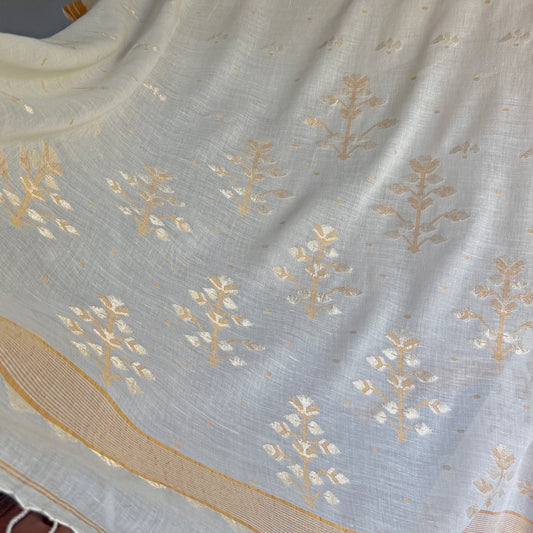 ISHA Jamdani Handwoven Cotton Real Zari Sari & Blouse