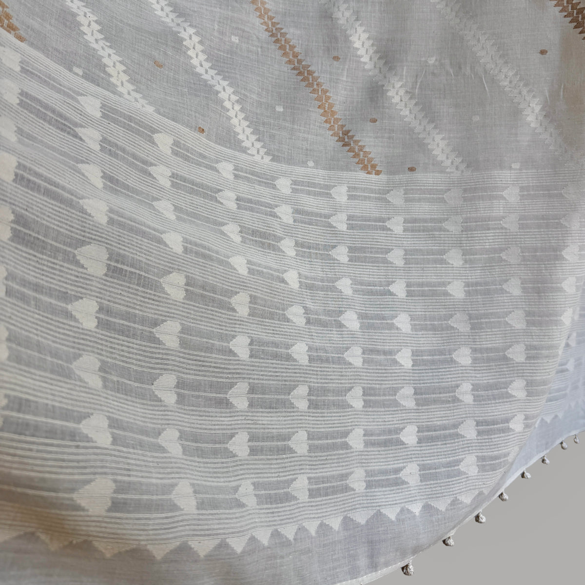 Jamdani TERCHI FERN Cotton Sari