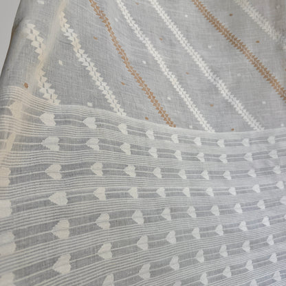 Jamdani TERCHI FERN Cotton Sari
