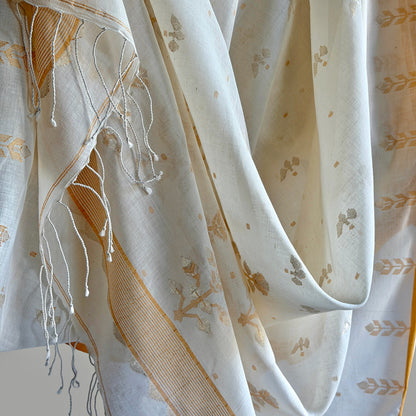 ISHA Jamdani Handwoven Cotton Real Zari Sari & Blouse