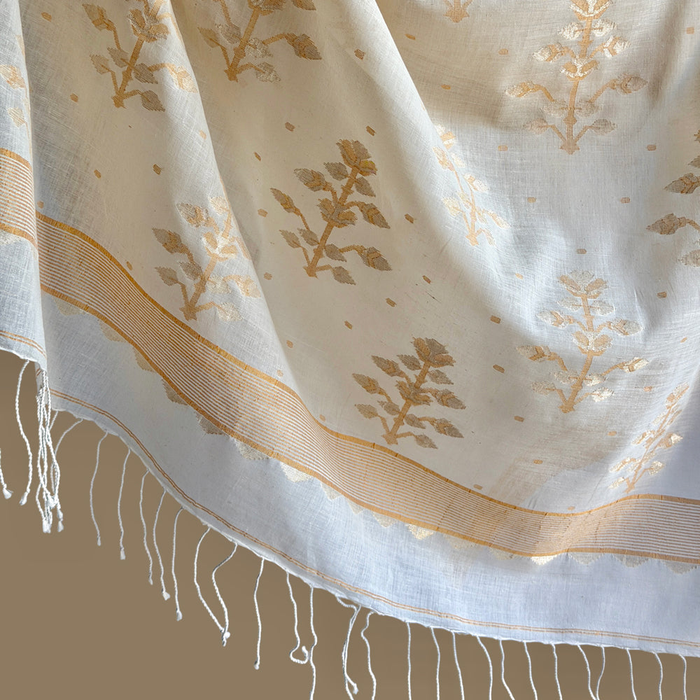 ISHA Jamdani Handwoven Cotton Real Zari Sari & Blouse