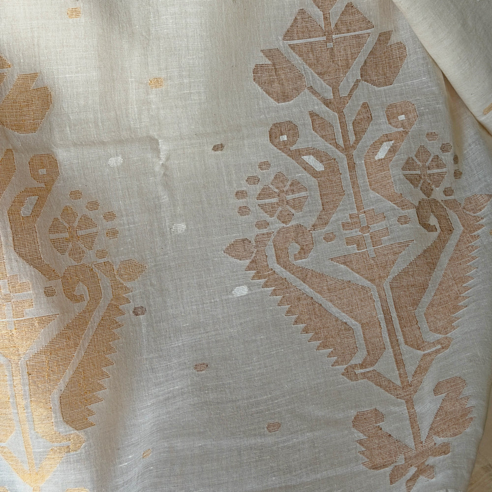 MANJARI Jamdani Handwoven Cotton Sari