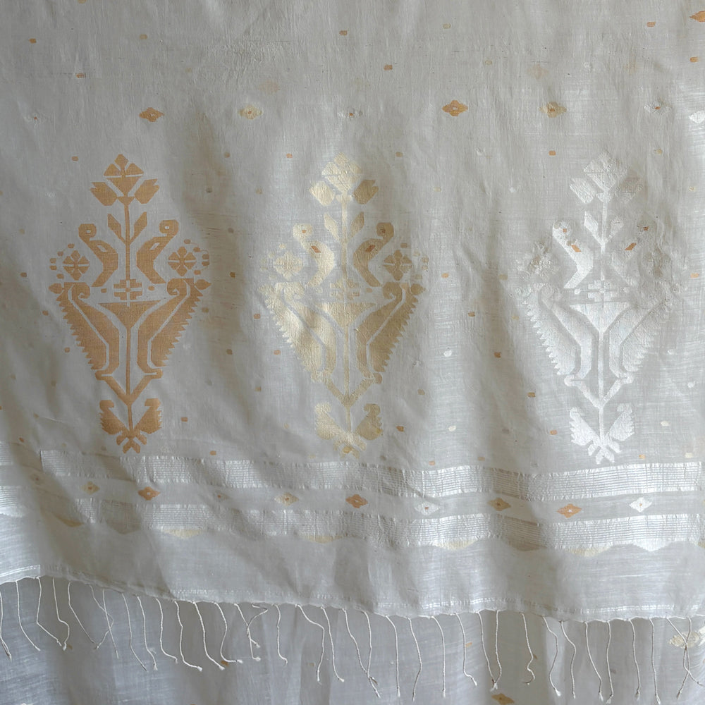 MANJARI Jamdani Handwoven Cotton Sari