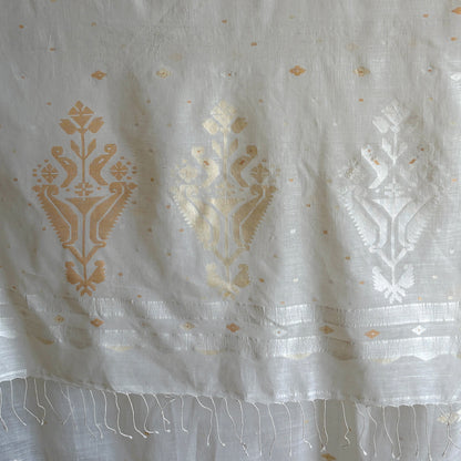 MANJARI Jamdani Handwoven Cotton Sari