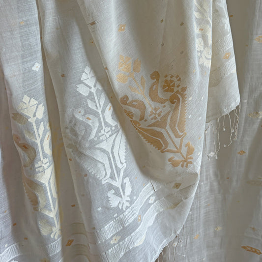 MANJARI Jamdani Handwoven Cotton Sari