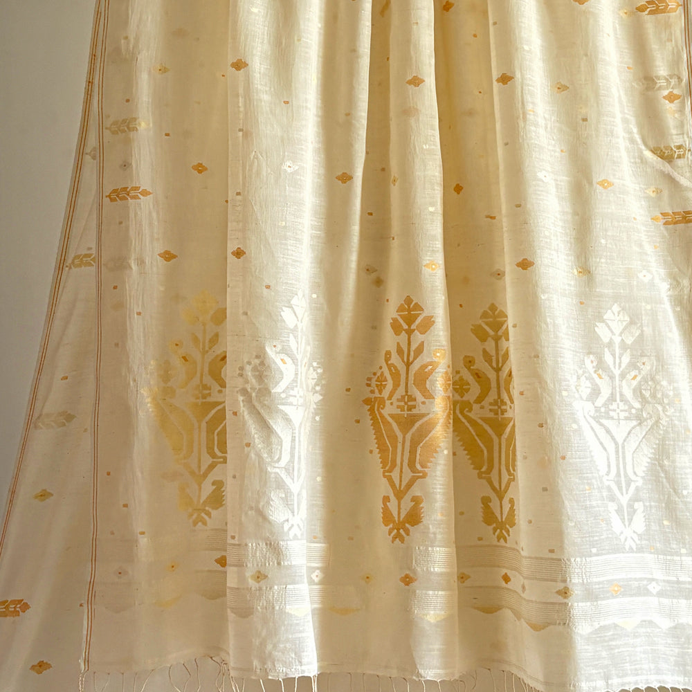 MANJARI Jamdani Handwoven Cotton Sari