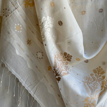 MANJARI Jamdani Handwoven Cotton Sari