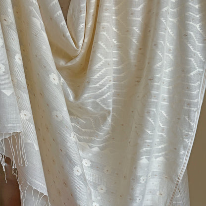 Jamdani ZIGZAG JAAL Cotton Sari